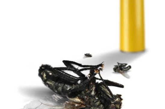 Fly Control