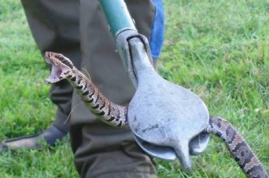 Snake Control